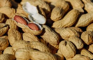 earley_peanuts-300×195-1 (1)
